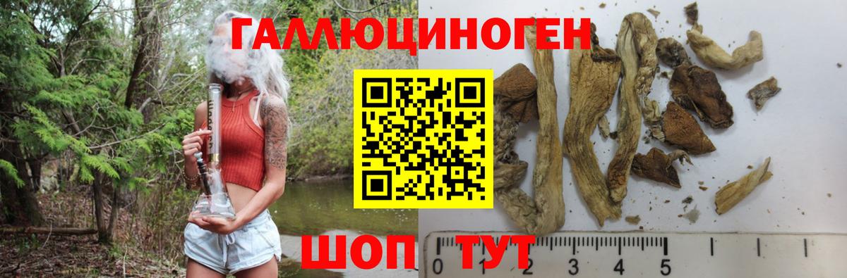 Междуреченск  Галлюциногенные грибы GOLDEN TEACHER  Вход с VPN  Галлюциногенные грибы мицелий 