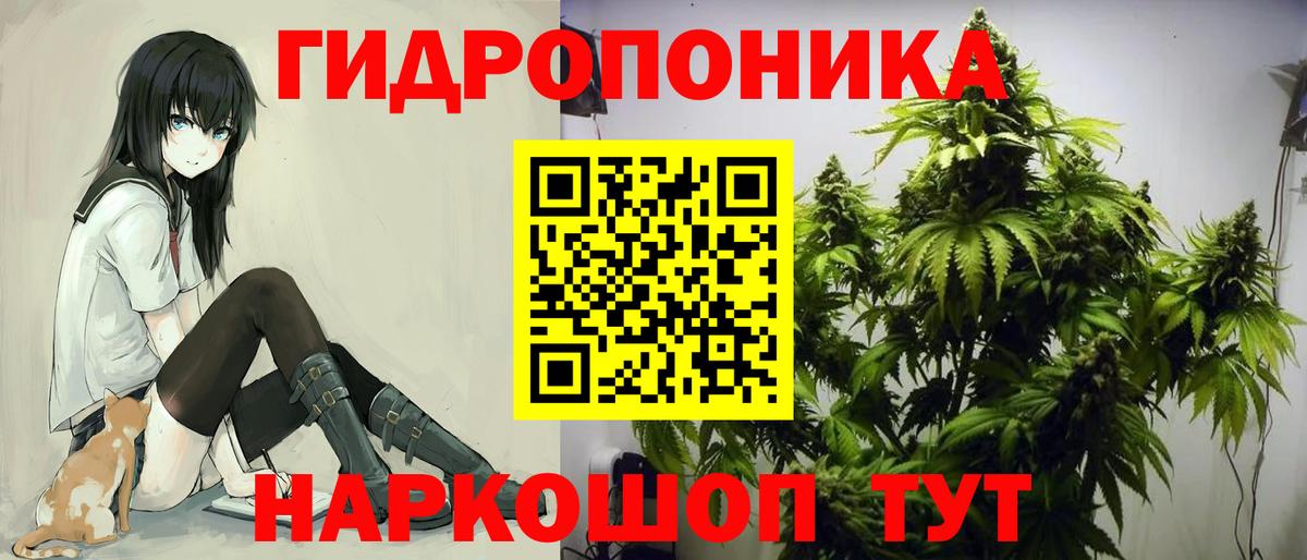 Конопля Amnesia  Каннабис индика  Междуреченск  Марихуана OG Kush  Вход с VPN 